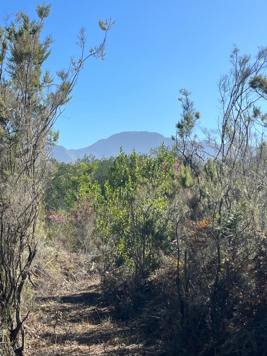  Bedroom Property for Sale in Natures Valley Western Cape
